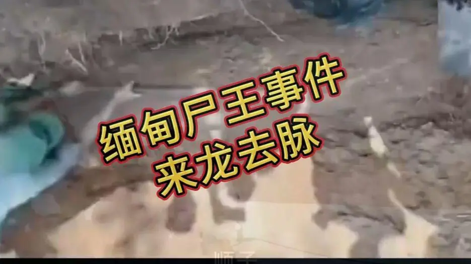 缅甸僵尸出土事件视频完整版在线观看 - 缅北僵尸出土事件始末原视频高清下载资源 - 无删减全程录像免费播放
